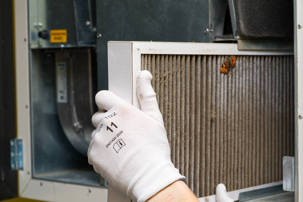 Best Air Duct Sanitizing Services  in Perrysburg, OH